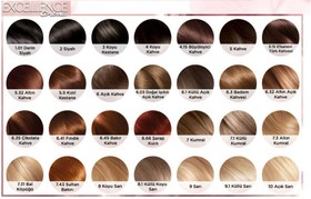 تصویر کیت رنگ مو اکسلنس لورال 7.31 اورجینال ا Excellence Hair color kit loreal Excellence Hair color kit loreal