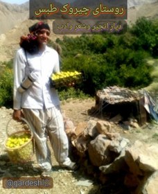 تصویر تحقیق معرفی جاذبه های گردشگری وایین های سنتی روستای چیروک طبس 