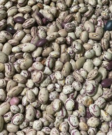 تصویر لوبیا چیتی دستچین (10کیلویی) 