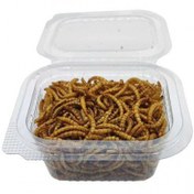 تصویر کرم میلورم برای عروس هلندی و پرندگان 