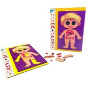 تصویر آناتومی بدن چوبی سایان 