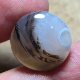 تصویر باباقوری شجر قائن زیبا خاص 