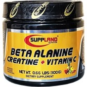 تصویر پودر بتا آلانین و کراتین ساپلند نوتریشن طعم میکس میوه وزن ۳۰۰ گرم 