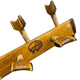 تصویر سه تار استاد کریمی 