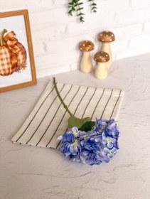 تصویر شاخه هورتانسیا کد ۴ 