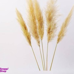 تصویر گل خشک پامپاس مدل AG101 بسته 5 عددی 
