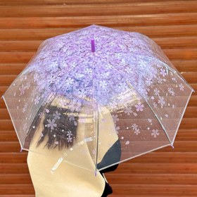 تصویر چتر شفاف شکوفه 