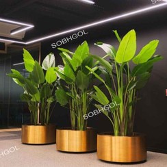 تصویر نیکولای سوپرلوکس مدل NIK08 