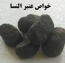 تصویر عنبر نسارا 