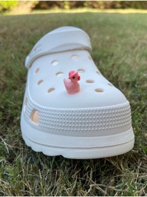 تصویر هدیه مفهومی کراکس Crocs اورجینال minpnkyhatduck 