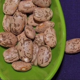 تصویر بذر لوبیا چیتی 20 عددی 