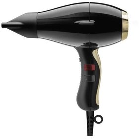 تصویر سشوار کامپکت اِل‌چیم Elchim مدل 3900 ( Elchim 3900 Healthy Ionic Hair Dryer (