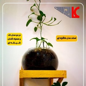 تصویر استند دیواری چوبی مدل طاقچه ای(چوب کاج) 