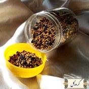 تصویر گرده گل زنبور عسل 