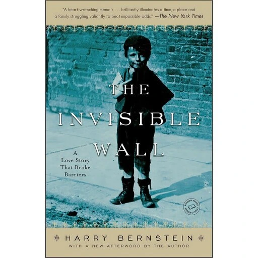 خرید و قیمت کتاب زبان اصلی The Invisible Wall اثر Harry Bernstein ترب