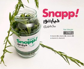 تصویر خیارشور تخمیری ( 3000 گرم ) KHIARSHOOR TAKHMIRI (PROBIOTIC)