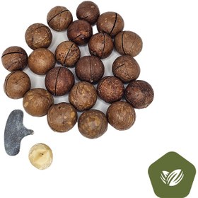 تصویر ماکادمیا 