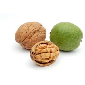 تصویر گردو باپوست {1کیلویی)گیلان Whole Walnuts (1 kg) from Gilan