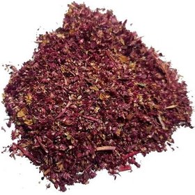 تصویر گل حلوا (تاج خروس) 