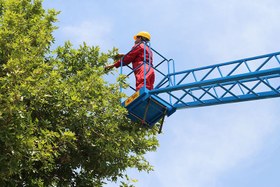 تصویر نردبان کشویی DMLP/C1200 DMLP/C1200