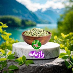 تصویر گیاه رازیانه 