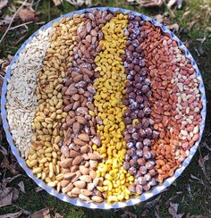 تصویر آجیل اقتصادی 