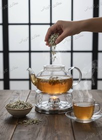 تصویر پونه کوهی 