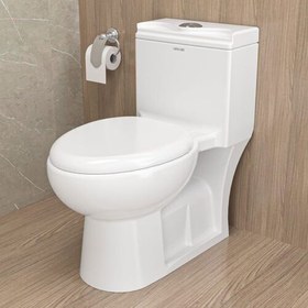 تصویر توالت فرنگی چینی کرد مدل لوییزا درجه یک 