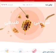 تصویر سایت آماده فروشگاهی حرفه ای 17# 