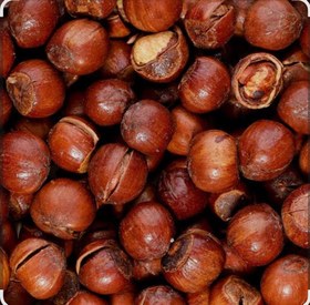 تصویر فندق با پوست - ۲۵۰گرم 