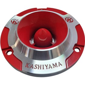 تصویر سوپر تویتر 40 وات کاشیاما KASHIYMA KA-T-110 