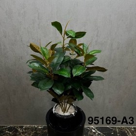 تصویر درختچه فیکوس مصنوعی 