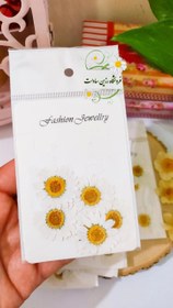 تصویر گل بابونه سفید 