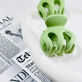 تصویر کلیپس گوجه ای جیر - نارنجی 