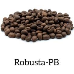 تصویر دان قهوه روبوستا PB هند(فله) Robusta PB