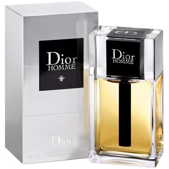 Homme EDT 100ml Dior