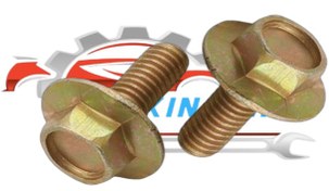 تصویر پیج گلگیر بلند پراید-بسته 10 عددی 