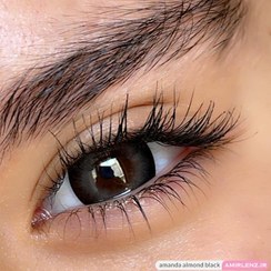 تصویر لنز مشکی مرکز طوسی آلموند بلک آماندا 