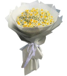 تصویر دسته گل مینیاتوری سفید و زرد 