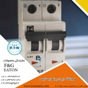 تصویر کلید مینیاتوری دو پل (دوفاز ) F&G AC 