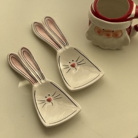 تصویر زیرکفگیری خرگوشی 