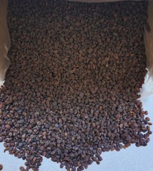 تصویر کشمش بیدانه آفتابی آجیلی درشت 