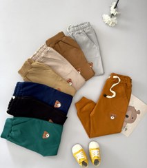 تصویر اسلش تدی رنگی 