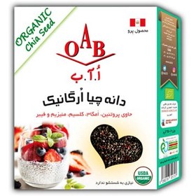 تصویر دانه چیا ارگانیک 250 گرمی dane chia organic