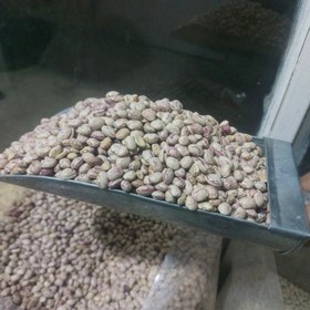 تصویر لوبیا چیتی نوبرانه 1404 