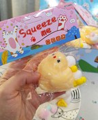 تصویر اسکوییشی جوجه ضد استرس 