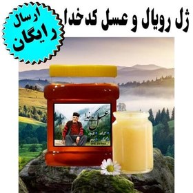 تصویر ژل رویال خالص کدخدا (مخلوط10 گرم ژل رویال با250 گرم شهد عسل طبیعی جنگلی )(ارسال فوری)(مستقیم از زنبوردار) 