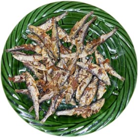 تصویر ماهی کیلکا 