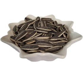 تصویر تخمه ساده 