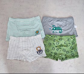 تصویر شورت پادار بچگانه پسرانه - سبز با شیر های کوچولو / 2XL بچگانه 